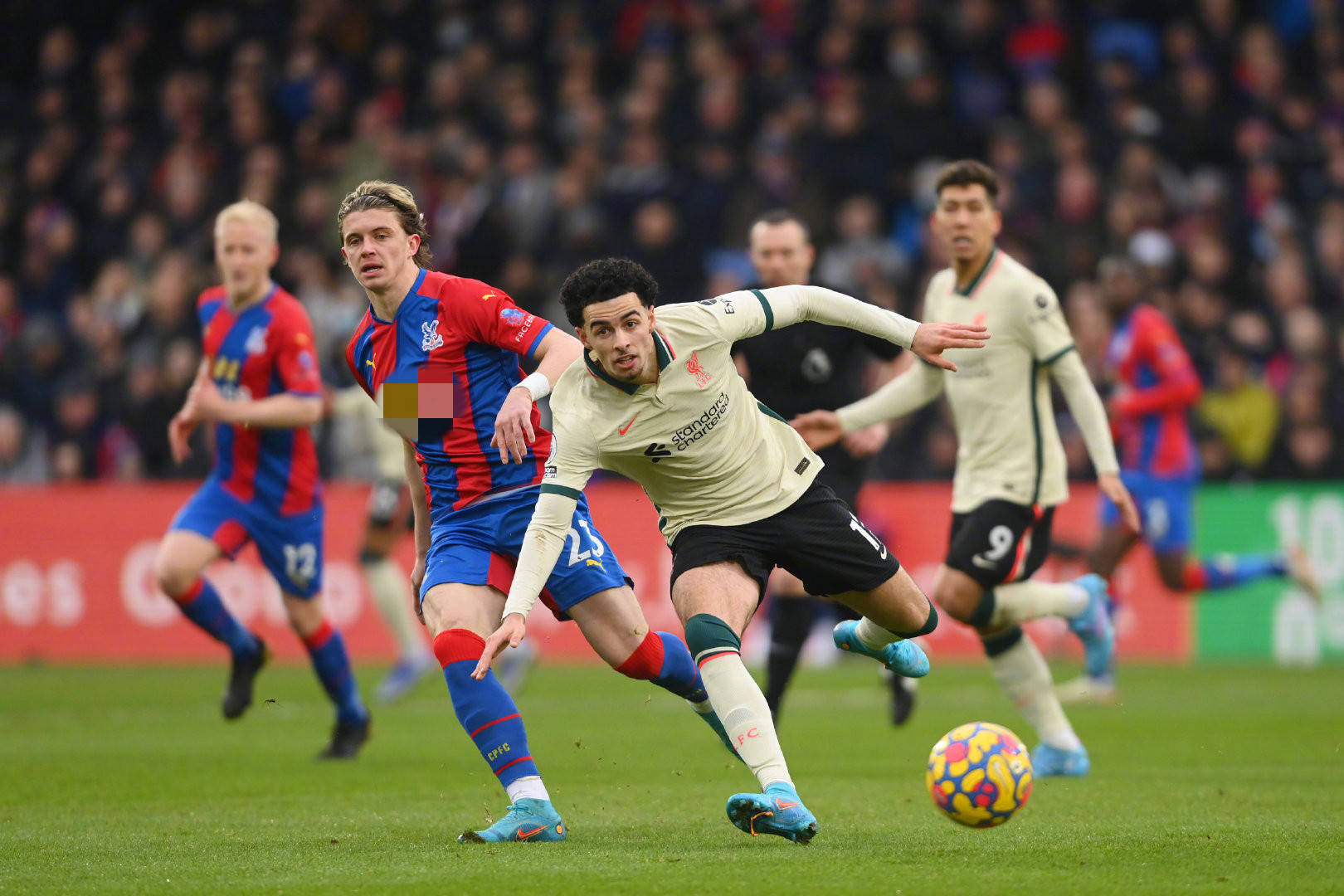 总会选择在 总会选择在